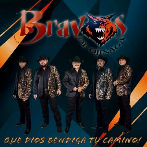 Download track Cada Quien Su Vida Bravos De Ojinaga