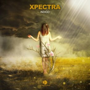 Download track Indigo (Original Mix) Xpectra