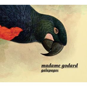 Download track Au Revoir Tristesse  Madame Godard