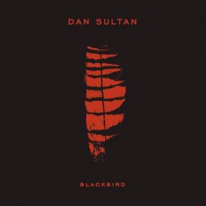 Download track Can't Blame Me Dan Sultan