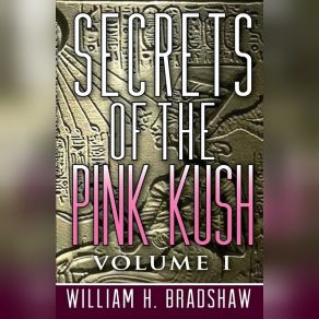 Download track Secrets (Original Mix) Kush (MU)