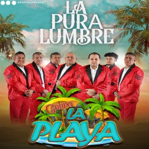 Download track Mi Güerita Grupo La PlayaConjunto Mar Azul