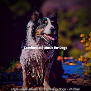 Download track Awesome Jazz Guitar Trio - Vibe For Sleeping Dogs Comfortable Music For Dogs