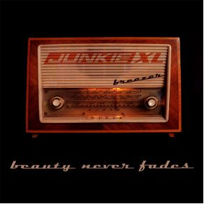 Download track Breezer (Tiesto Remix) Junkie XL