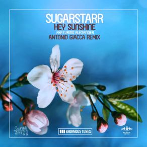 Download track Hey Sunshine (Croatia Squad Remix) Sugarstarr, Alexander