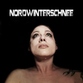 Download track Absturz Nachtland