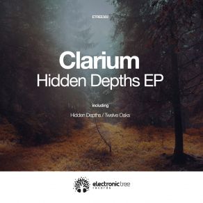 Download track Hidden Depths (Original Mix) Clarium