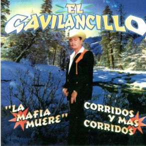 Download track El Hijo Prodigo Saul El Gavilancillo Viera