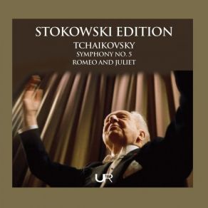 Download track Symphony No. 5 In E Minor, Op. 64, TH 29: II. Andante Cantabile Symphony Orchestra, Leopold Stokowski