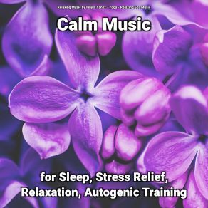 Download track Relaxing Music For Massage Relaxing Music By Finjus Yanez