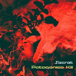 Download track Secret Patagonica Kill