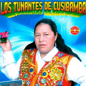 Download track Carrito Pasajero Los Tunantes De Cusibamba