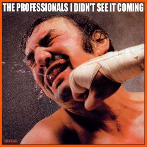 Download track One - Two - Three The Professionals