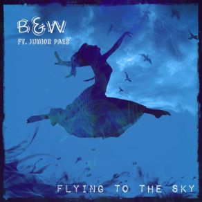 Download track Flying To The Sky (Biagio Lisanti Mix) Junior Paes