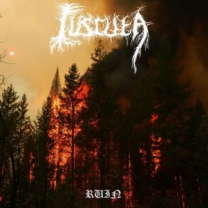 Download track Fallen / Ruin Cuscuta