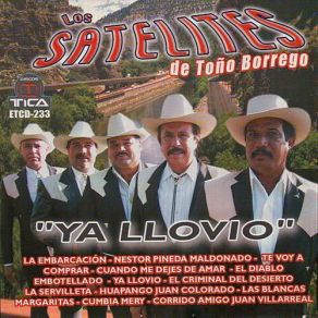 Download track Las Blancas Margaritas Los Satelites De Toño Borrego