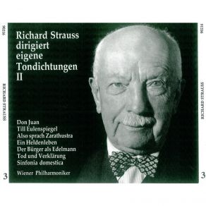 Download track Sinfonia Domestica, Op. 53 Richard Strauss