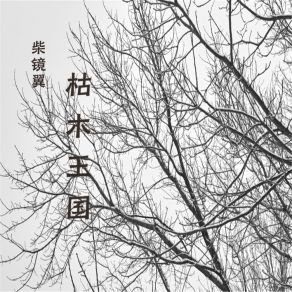 Download track 彼此珍惜 柴镜翼