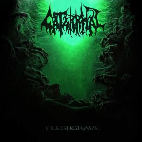 Download track Into The Arms Of Light Catarrhal