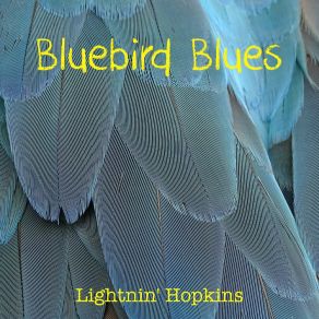 Download track Changing Weather Blues Lightnin'Hopkins