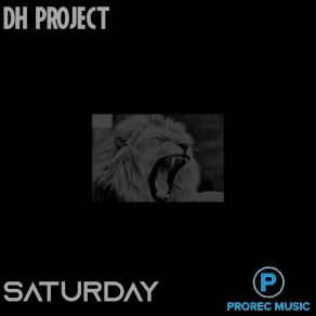 Download track Saturday (Original Mix) DH-PROJECT