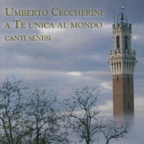 Download track Fior Di Verbena Umberto Ceccherini