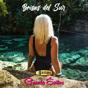 Download track En Un Bosque De La China Brisas Del Sur