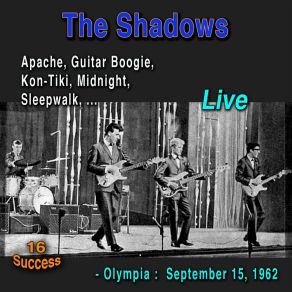 Download track Shadoogie (Live) The Shadows