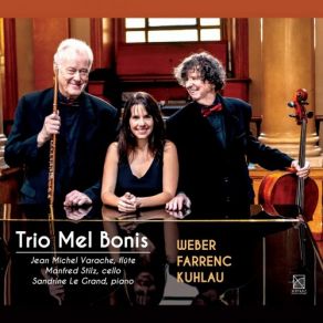 Download track Trio In G Major, Op. 119 (Arr. For Flute, Cello & Piano) III. Rondo. Allegro Trio Mel Bonis