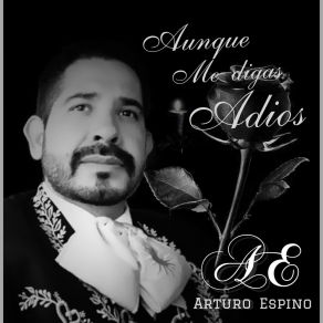 Download track Si Tu Te Vas Arturo Espino