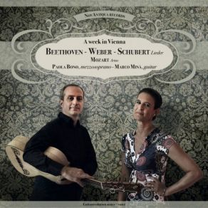 Download track Don Giovanni K 527 Atto II. Deh Vieni Alla Finestra (Transcription For Guitar And Voice) Marco Minà, Paola BonoVoice