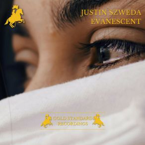 Download track Evanescent (Radio Edit) Justin Szweda