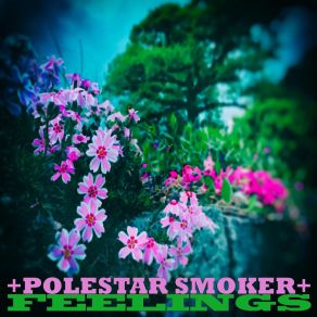 Download track Raise Your Hands Polestar Smoker