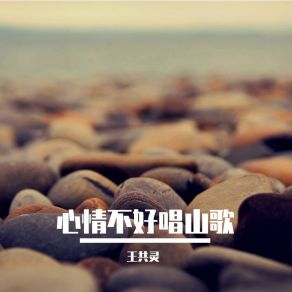 Download track 心情不好唱山歌 王共灵