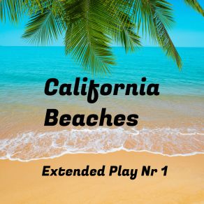 Download track Greenwood Creek State Beach Waves California Beaches