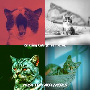 Download track Warm (Kittens) Music For Cats Classics