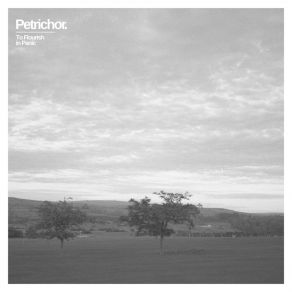 Download track Forest Lake, Minnesota Petrichor