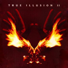 Download track Pagode Progressivo Carlos Malta, True Illusion