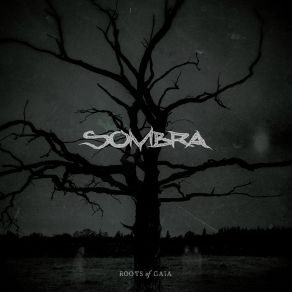 Download track Three Hour Combustion Sombra Y Luz