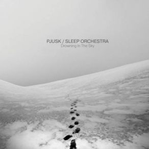 Download track Donitsk Pjusk, Sleep Orchestra