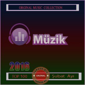 Download track Olmazsan Olmaz Güliz Ayla