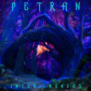 Download track Grandmother Spacewarp Petran