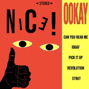 Download track Pick It Up Ookay