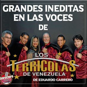 Download track Lo Mío No Es Amor Los Terricolas De Venezuela