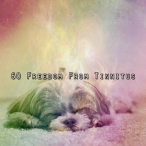 Download track Fields Of Harmony Spa