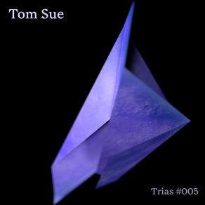 Download track Euphoria (Original Mix) Tom Sue