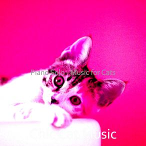 Download track Pulsating Backdrops For Cats Chic Cat Music