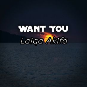 Download track You Lose Laiqa Akifa