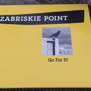 Download track Zabriskie Point ZABRISKIE POINT