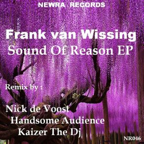 Download track Sound Of Reason (Nick De Voost Unreasonable Mix) Frank Van Wissing